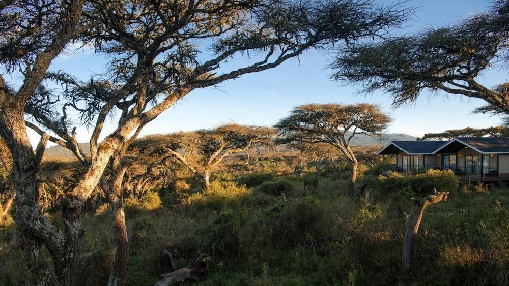 Karibu Camps And Lodges Lions Paw Ngorongoro Karatu Bagian luar foto